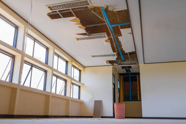 Best Fire Damage Restoration  in Corona, CA