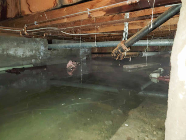 Best Local water damage restoration  in Corona, CA