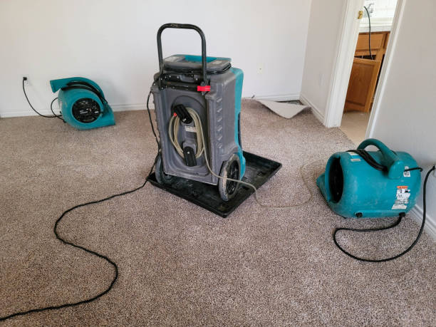 Best Water damage restoration specialists  in Corona, CA