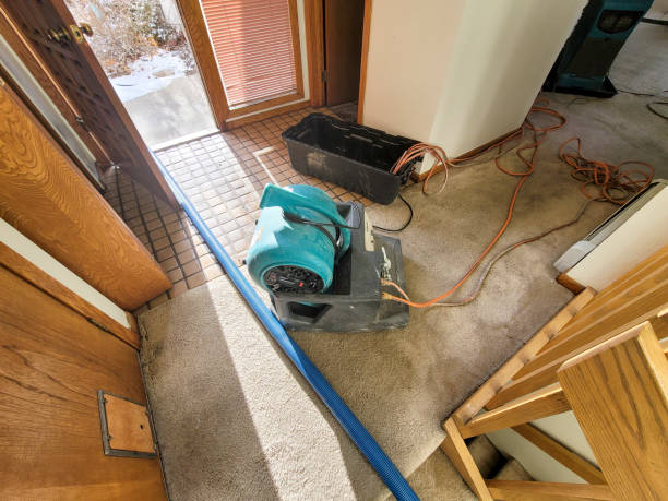Best Flood damage cleanup  in Corona, CA
