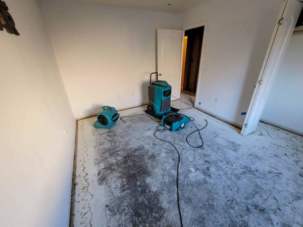 Best Water damage contractors near me  in Corona, CA