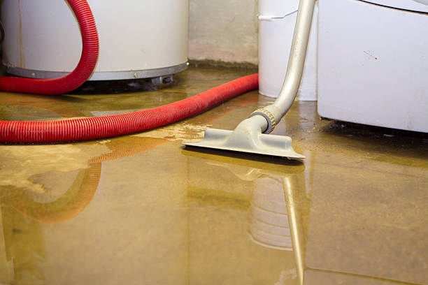 Best Water damage contractors near me  in Corona, CA