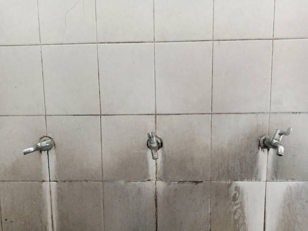 Best Water damage cleanup near me  in Corona, CA