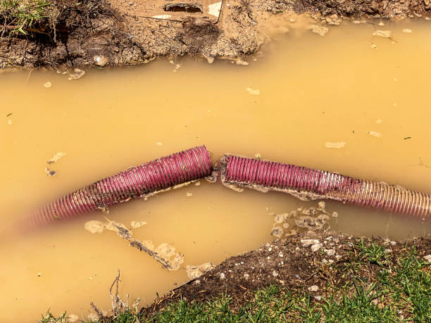 Best Professional water damage repair  in Corona, CA