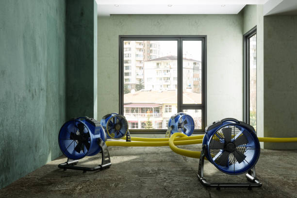 Best 24-hour water damage restoration  in Corona, CA